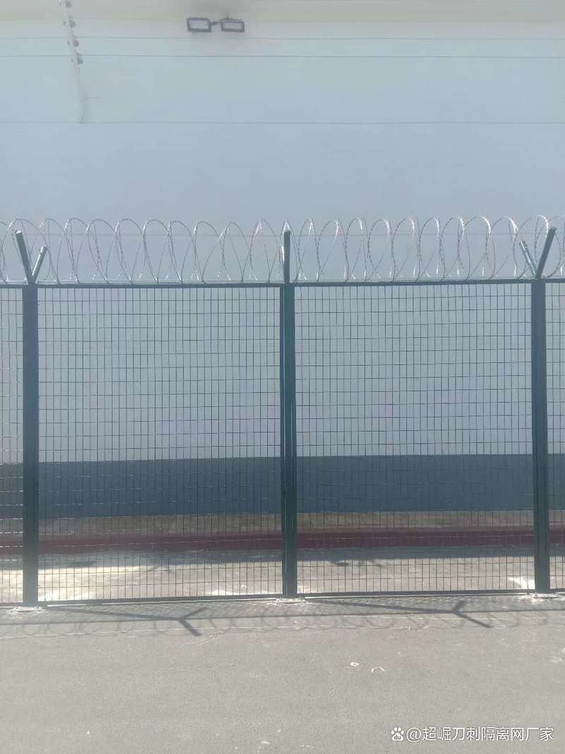 浙江省台州市金属刀刺网 刀片刺丝护栏网 菱形刀片网