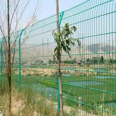 浸塑护栏网 双边丝围栏 园林花坛围网厂家直销